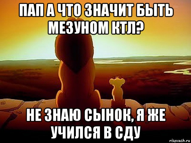 пап а что значит быть мезуном ктл? не знаю сынок, я же учился в сду, Мем  король лев