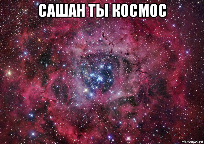 сашан ты космос , Мем Ты просто космос