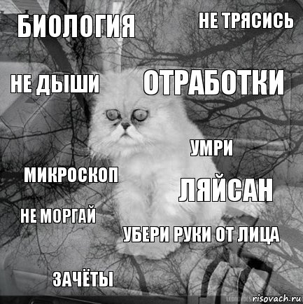 Биология Ляйсан отработки зачёты микроскоп не трясись убери руки от лица не дыши не моргай умри, Комикс  кот безысходность