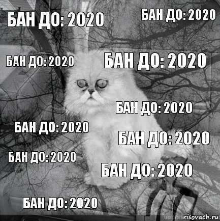 БАН ДО: 2020 БАН ДО: 2020 БАН ДО: 2020 БАН ДО: 2020 БАН ДО: 2020 БАН ДО: 2020 БАН ДО: 2020 БАН ДО: 2020 БАН ДО: 2020 БАН ДО: 2020, Комикс  кот безысходность