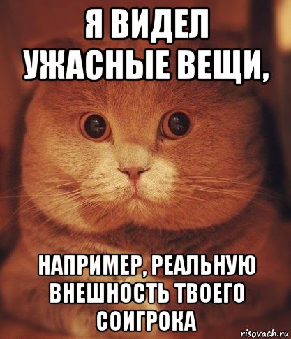 я видел ужасные вещи, например, реальную внешность твоего соигрока, Мем  Кот который видел ужасные вещи