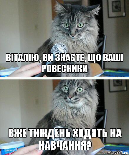 Віталію, ви знаєте, що ваші ровесники Вже тиждень ходять на навчання?, Комикс  кот с микрофоном