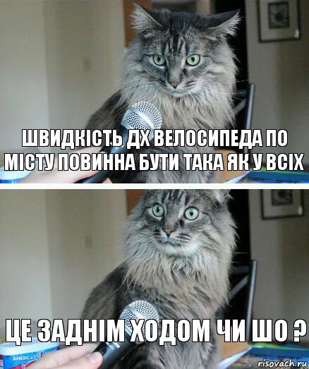 Швидкість ДХ велосипеда по місту повинна бути така як у всіх Це заднім ходом чи шо ?, Комикс  кот с микрофоном