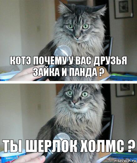 котэ почему у вас друзья зайка и панда ? ты шерлок холмс ?, Комикс  кот с микрофоном