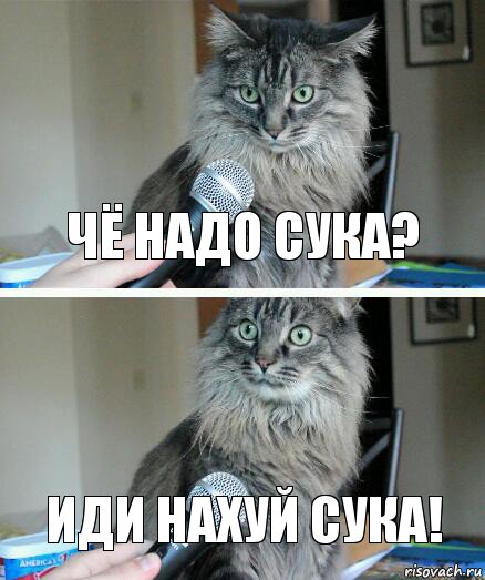 Чё надо сука? Иди нахуй сука!, Комикс  кот с микрофоном