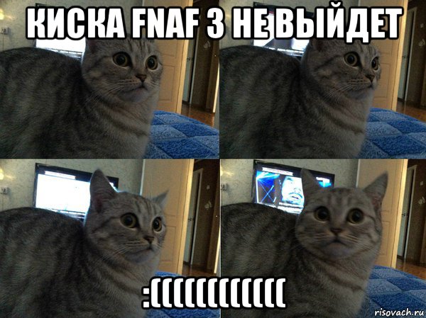 киска fnaf 3 не выйдет :((((((((((((, Мем  Кот в шоке