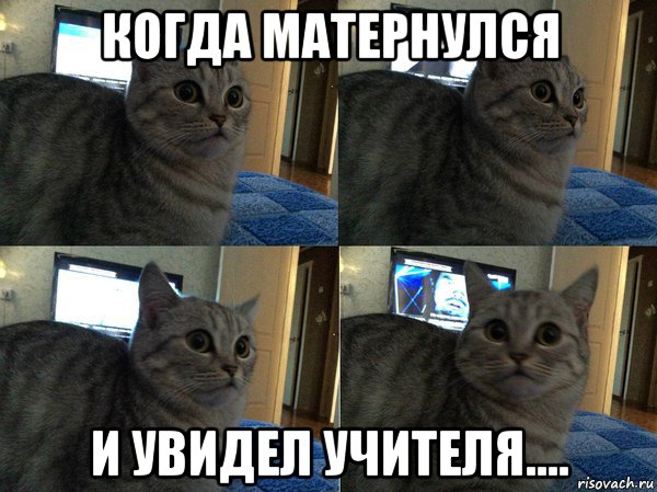 когда матернулся и увидел учителя...., Мем  Кот в шоке