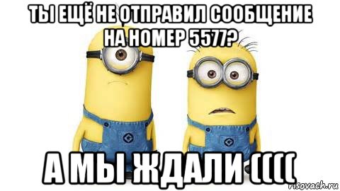 ты ещё не отправил сообщение на номер 5577? а мы ждали ((((, Мем Миньоны