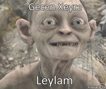 Leylam Gecen Xeyre