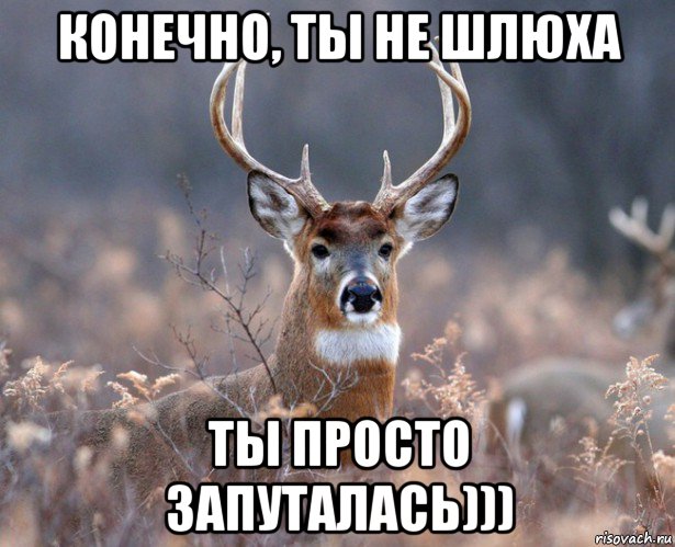 конечно, ты не шлюха ты просто запуталась)))