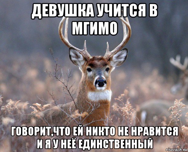 девушка учится в мгимо говорит,что ей никто не нравится и я у неё единственный