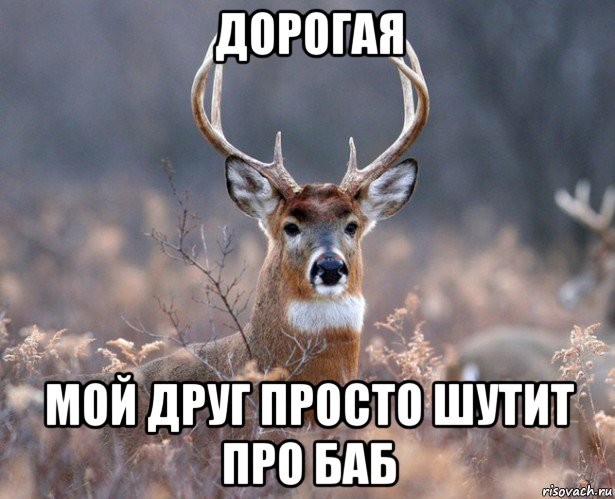 Он просто друг