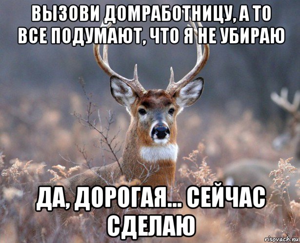 вызови домработницу, а то все подумают, что я не убираю да, дорогая... сейчас сделаю