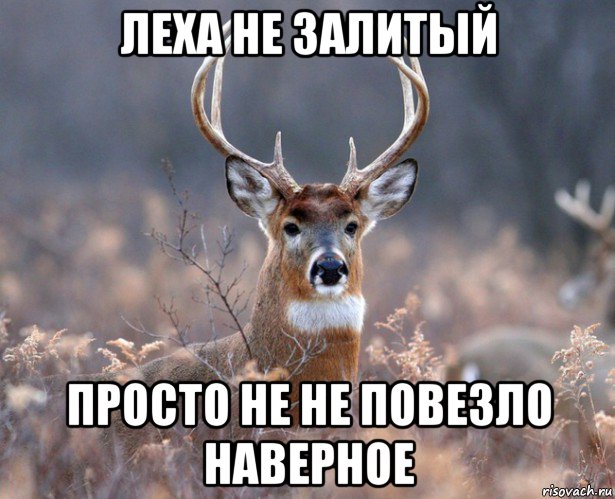 Наверное повезло