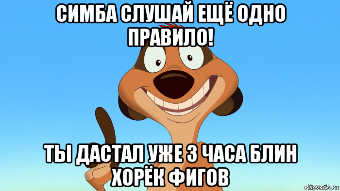 симба слушай ещё одно правило! ты дастал уже 3 часа блин хорёк фигов, Мем Тимон советует