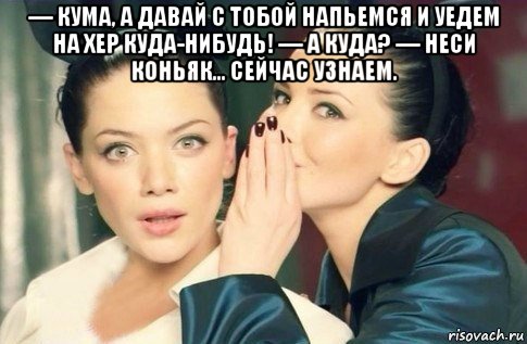 — кума, а давай с тобой напьемся и уедем на хер куда-нибудь! — а куда? — неси коньяк... сейчас узнаем. , Мем  Он