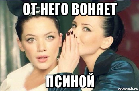 от него воняет псиной, Мем  Он