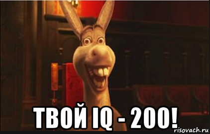  твой iq - 200!, Мем Осел из Шрека