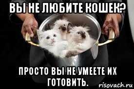 Вы не любите кошек вы просто не умеете их готовить картинка