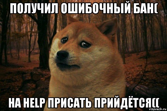 получил ошибочный бан( на help присать прийдётся((, Мем SAD DOGE