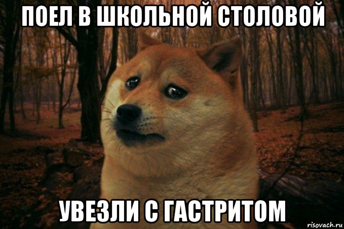 поел в школьной столовой увезли с гастритом, Мем SAD DOGE