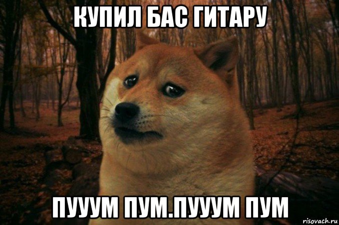 купил бас гитару пууум пум.пууум пум, Мем SAD DOGE