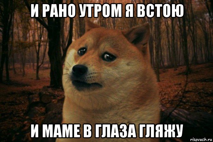 и рано утром я встою и маме в глаза гляжу, Мем SAD DOGE