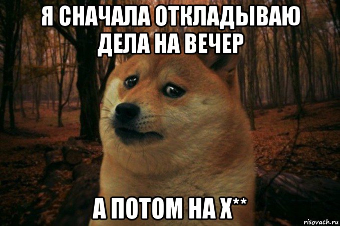 я сначала откладываю дела на вечер а потом на х**, Мем SAD DOGE