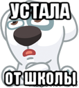 устала от школы