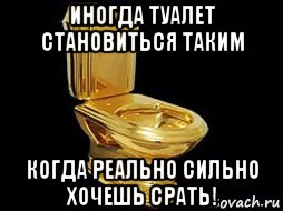 Песня сегодня какал сильно тужился из попы. Туалетная захочет в туалет?. Мемы про туалет.