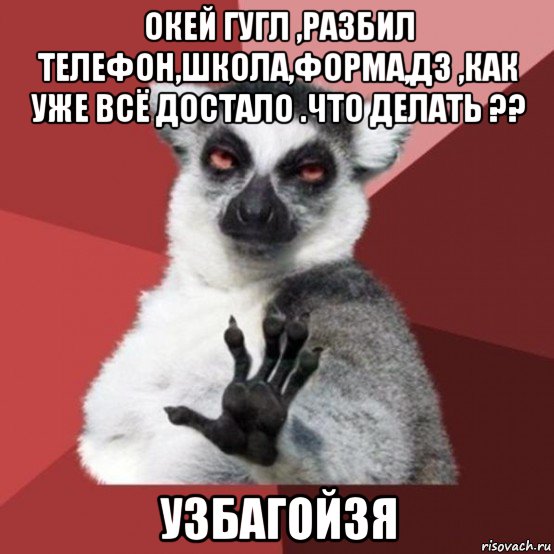 окей гугл ,разбил телефон,школа,форма,дз ,как уже всё достало .что делать ?? узбагойзя, Мем Узбагойзя