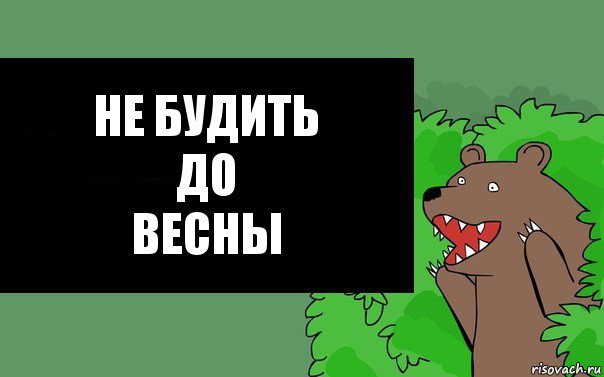 Медведь до весны не будить. До весны не будить. Медведь не будить до весны. Не будить до весны табличка. Надпись не будить.