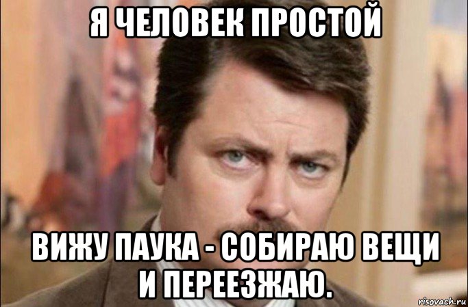 я человек простой вижу паука - собираю вещи и переезжаю., Мем  Я человек простой