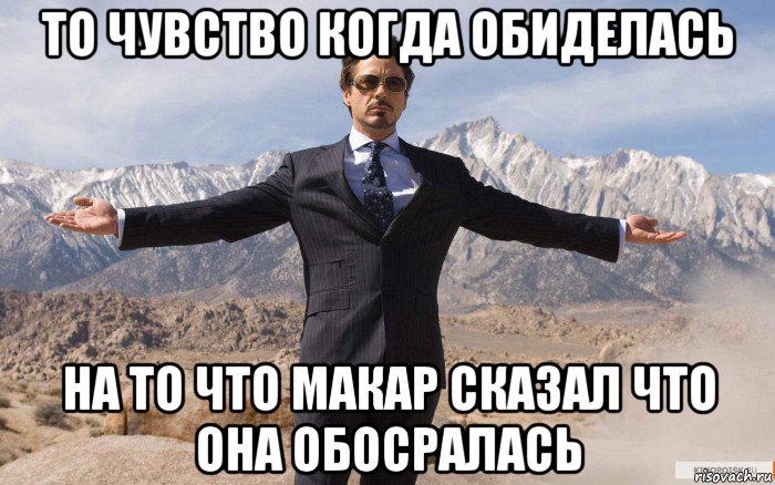 то чувство когда обиделась на то что макар сказал что она обосралась, Мем железный человек