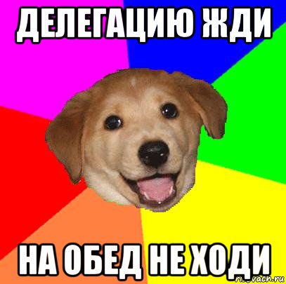 делегацию жди на обед не ходи, Мем Advice Dog