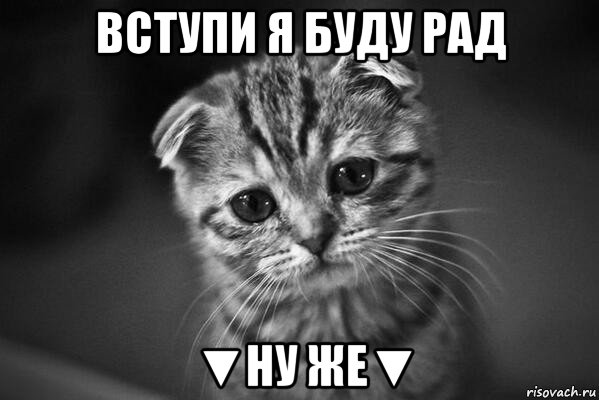 вступи я буду рад ▼ну же▼, Мем  безысходность