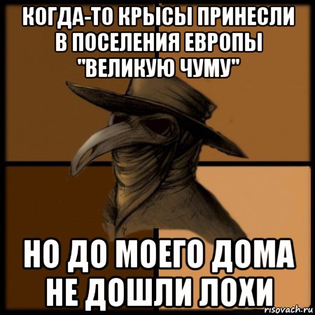 когда-то крысы принесли в поселения европы ''великую чуму'' но до моего дома не дошли лохи, Мем  Чума