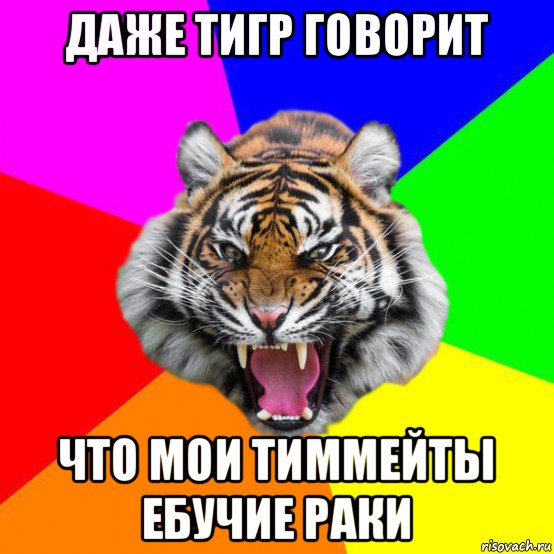 даже тигр говорит что мои тиммейты ебучие раки, Мем  ДЕРЗКИЙ ТИГР