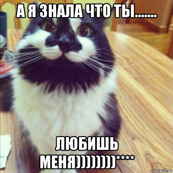 а я знала что ты....... любишь меня))))))))****, Мем  довольный кот