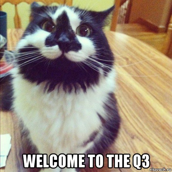  welcome to the q3, Мем  довольный кот