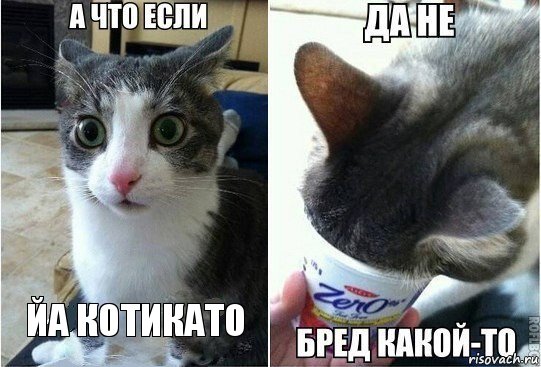 йа котикато