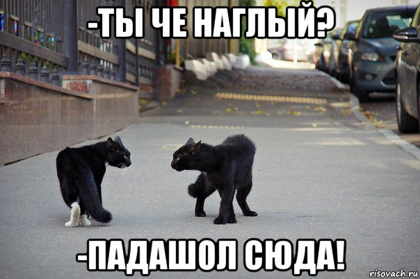 Не звоните сюда больше Мем. Алло Гусь