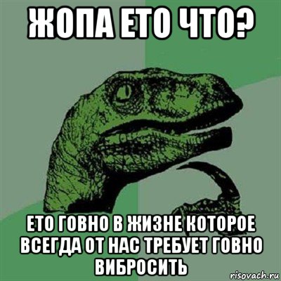 жопа ето что? ето говно в жизне которое всегда от нас требует говно вибросить, Мем Филосораптор