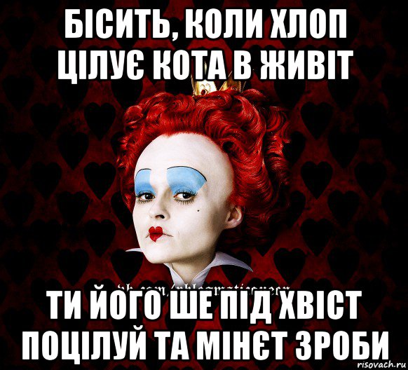 бісить, коли хлоп цілує кота в живіт ти його ше під хвіст поцілуй та мінєт зроби