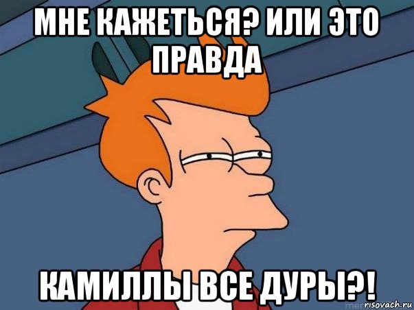 мне кажеться? или это правда камиллы все дуры?!, Мем  Фрай (мне кажется или)