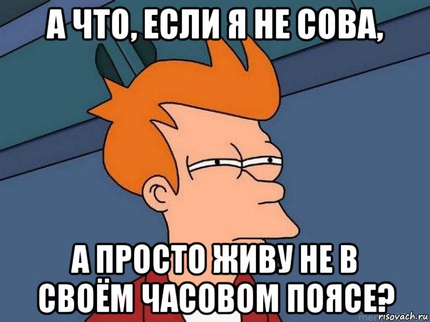 а что, если я не сова, а просто живу не в своём часовом поясе?, Мем  Фрай (мне кажется или)