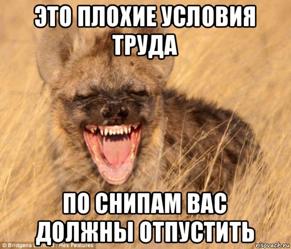 Скачай это бесплатное Фото на тему Не пущу мем и открой