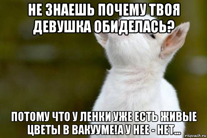 Что ж ты парень девчонку обижаешь. Подруга обиделась. Ленка обиделась. Когда девушка обиделась. Не обижайся подруга.