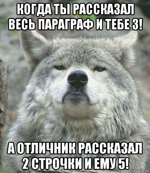 когда ты рассказал весь параграф и тебе 3! а отличник рассказал 2 строчки и ему 5!, Мем    Гордый волк