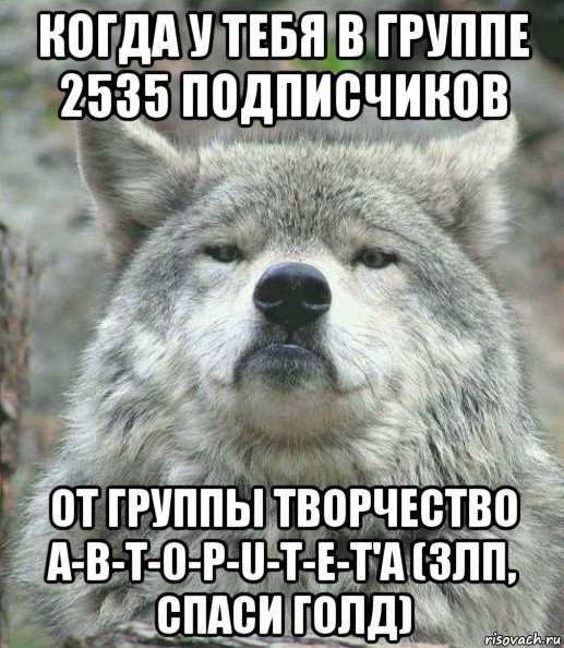 когда у тебя в группе 2535 подписчиков от группы творчество a-b-t-0-p-u-t-e-t'a (злп, спаси голд), Мем    Гордый волк